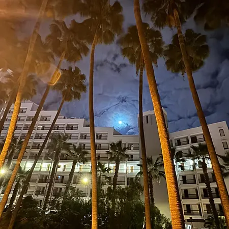 Vina Del Mar شقة